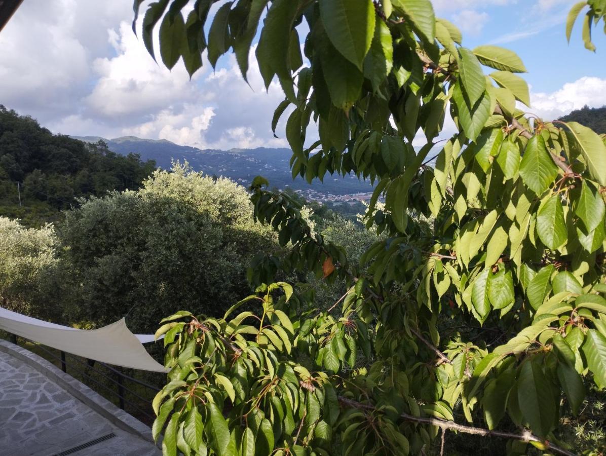 Villa Degli Ulivi Tivegna Ngoại thất bức ảnh