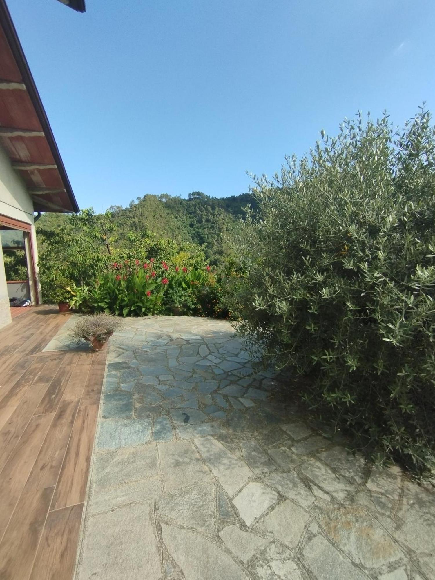Villa Degli Ulivi Tivegna Ngoại thất bức ảnh
